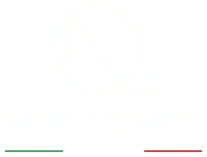 Logo NicolaQuinto Italia